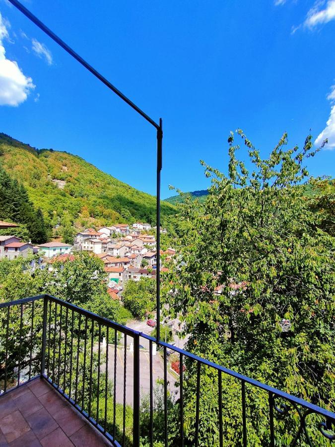 Hotel Palazzo Del Doma - Lake Vagli Vagli di Sotto Eksteriør billede